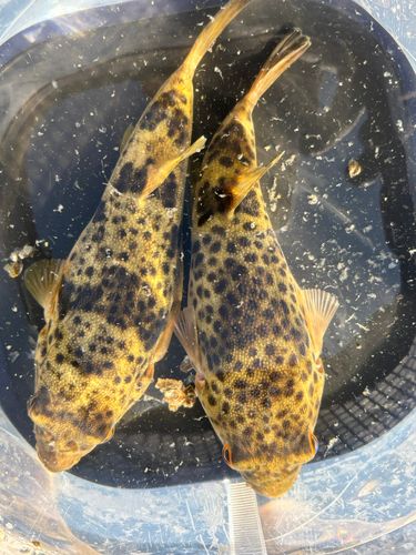 新舞子マリンパーク