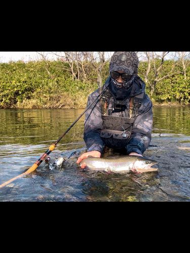 ニジマスの釣果