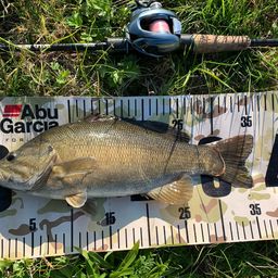 スモールマウスバス