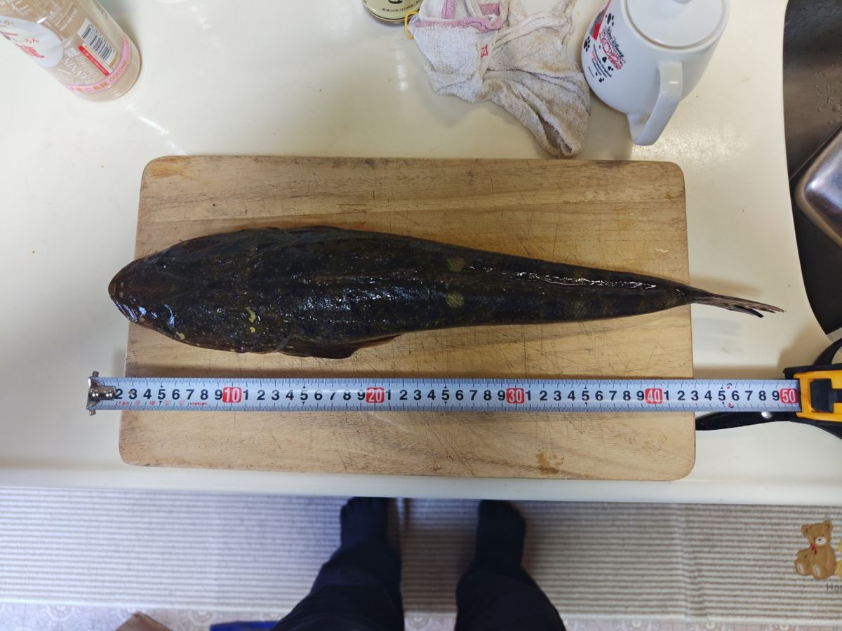 貴斗(タカト)さんの釣果 2枚目の画像