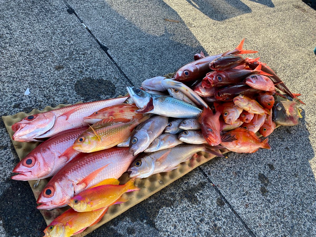 けまろつさんの釣果 1枚目の画像