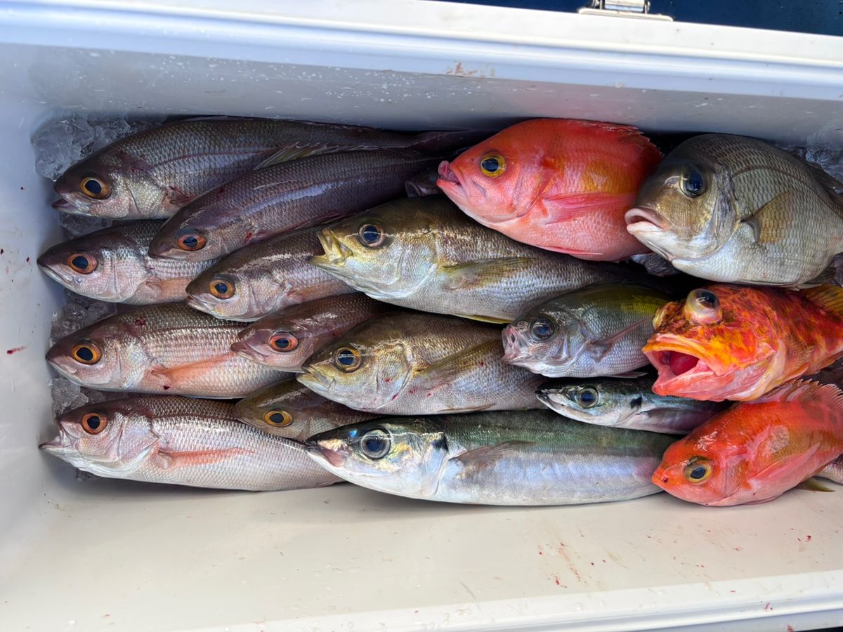 山梨のマダニさんの釣果 1枚目の画像