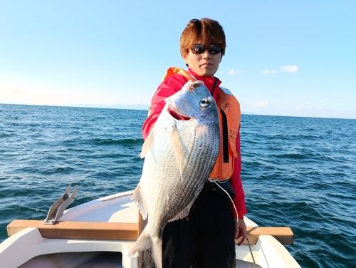 キビレの釣果