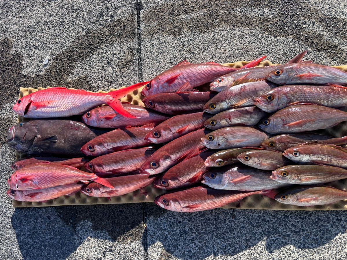 山梨のマダニさんの釣果 2枚目の画像