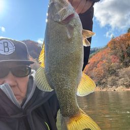 スモールマウスバス