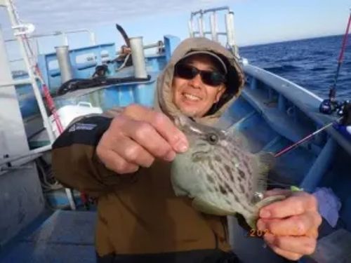 カワハギの釣果