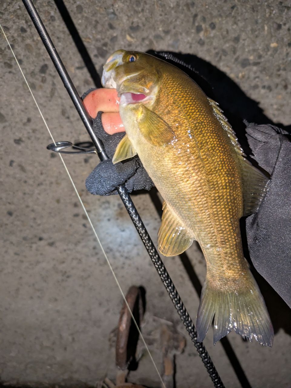 スモールマウスバス