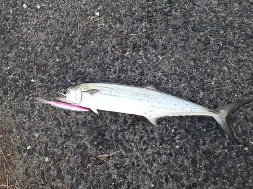 関門海峡 （福岡）