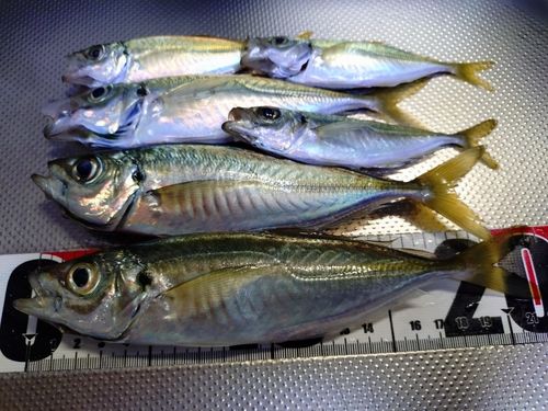 小名浜港アクアマリンふくしま周辺