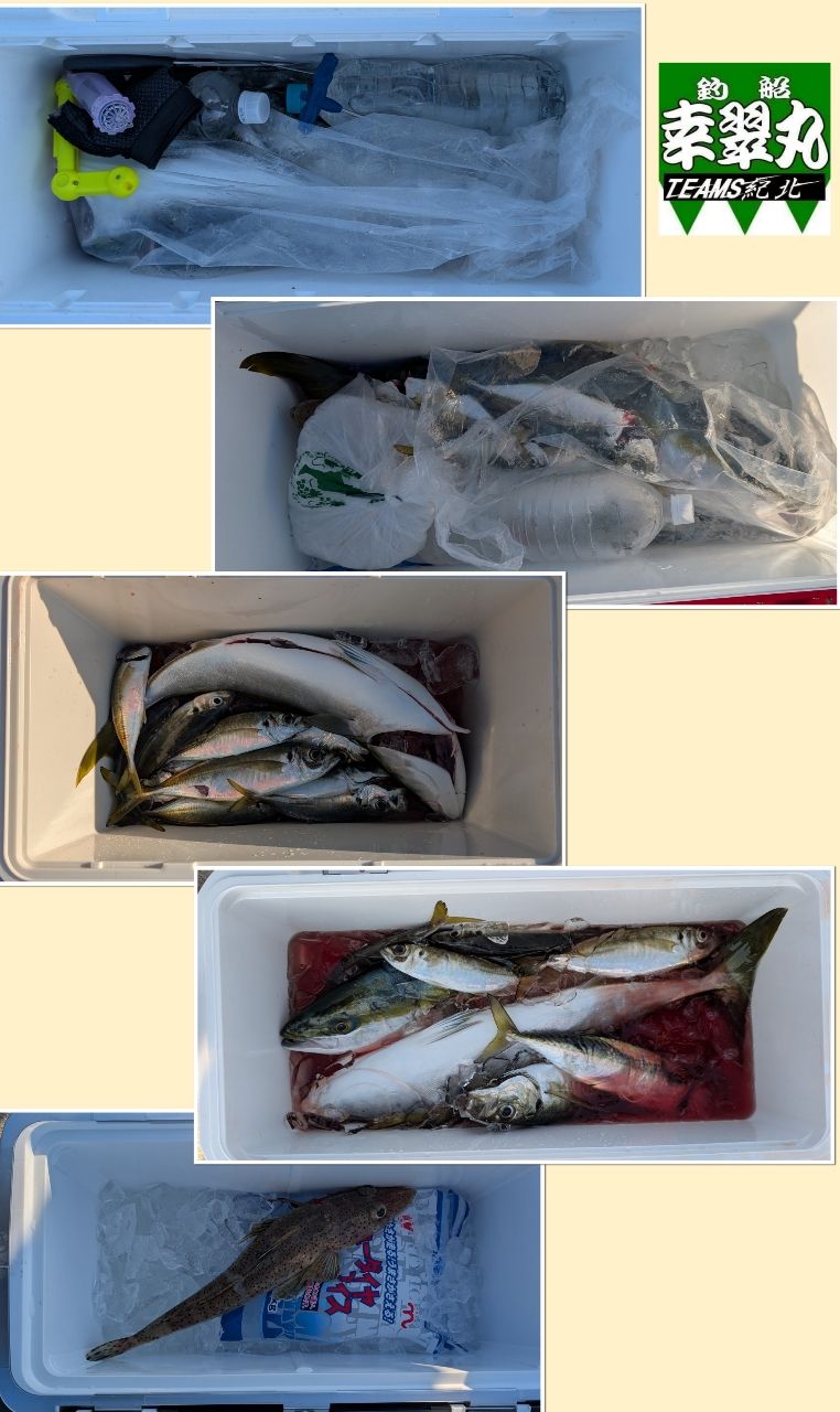 幸翠丸さんの釣果 2枚目の画像