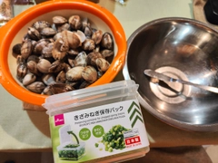 カワハギの釣果