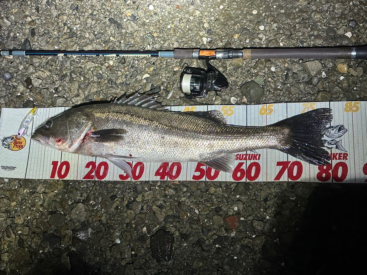 TULALA ハーモニクス スタッカート 86MHLS-HXの最安値・インプレ・釣果