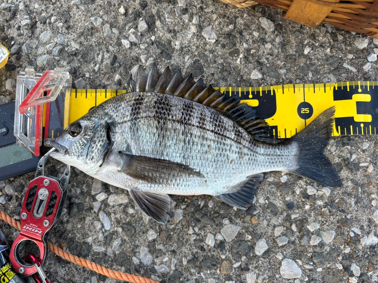 SHIMANO BB-X スペシャル SZ IIIの最安値・インプレ・釣果 | 本音の