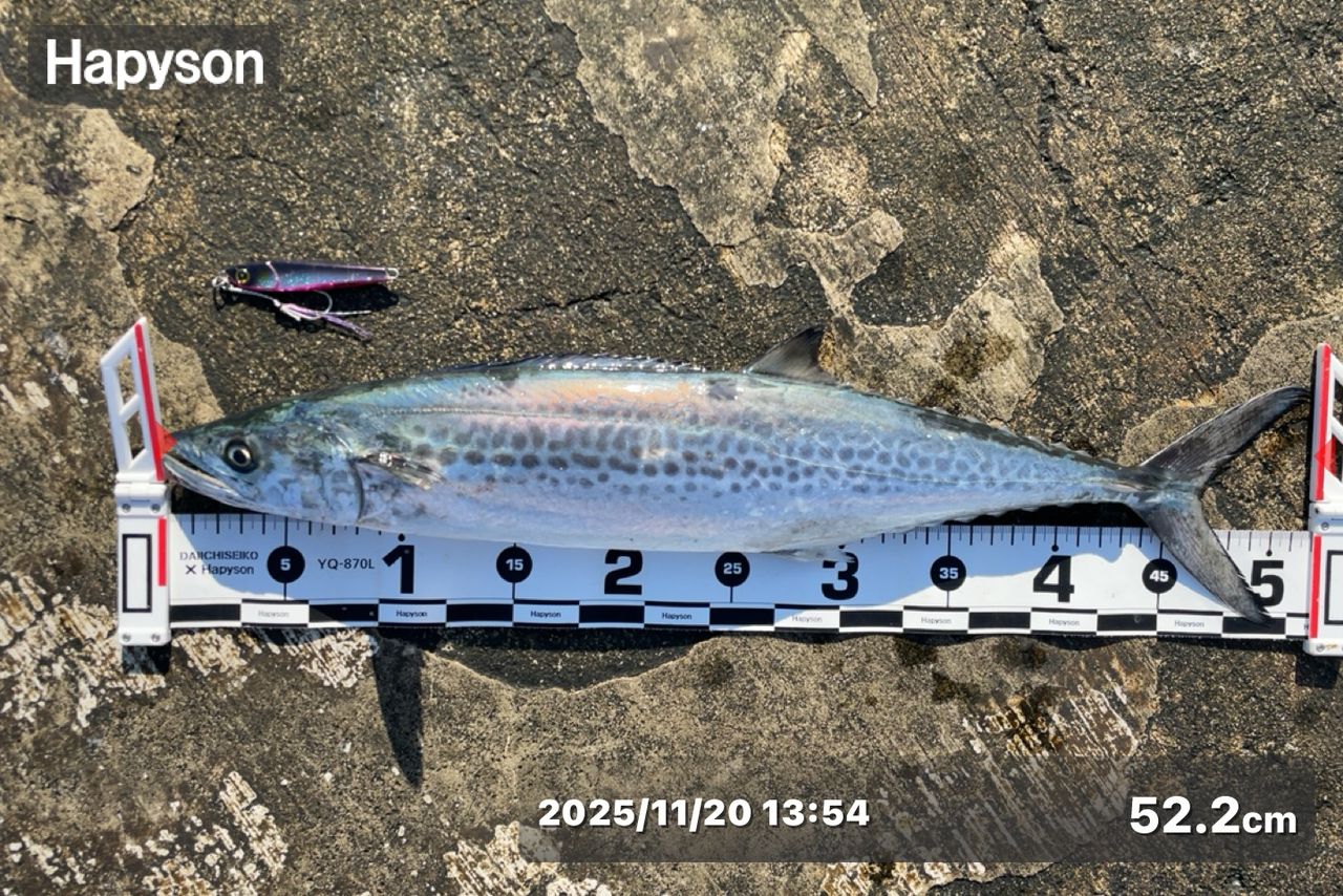 Gamakatsu ラグゼ コヨーテ S S100MHの最安値・インプレ・釣果 | 本音