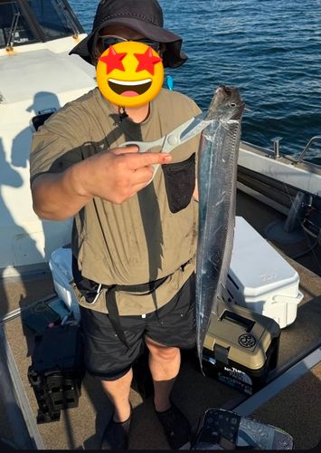 タチウオの釣果