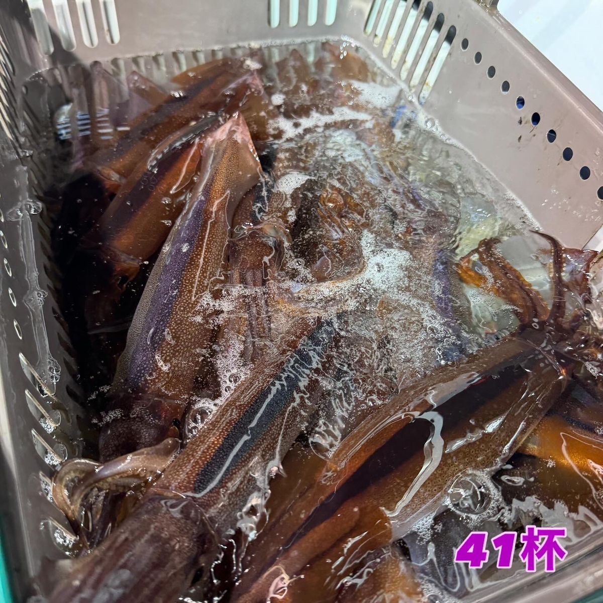 ronaさんの釣果 1枚目の画像