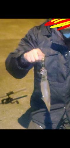 ヤリイカの釣果