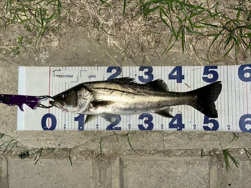 荒川河川敷運動公園