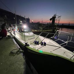 ショウサイフグ