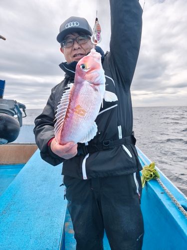 アマダイの釣果