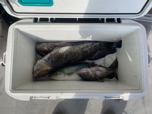 三陸海岸（岩手）