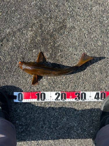 三陸海岸（青森）