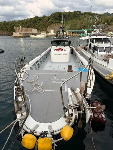 ヒラマサの釣果