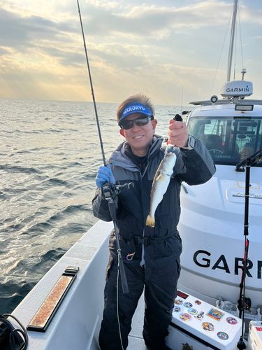 ショウサイフグの釣果