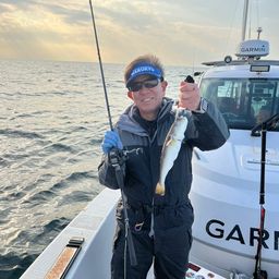 ショウサイフグ