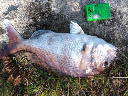 警固屋中学校前