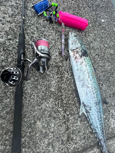 松前港（愛媛）