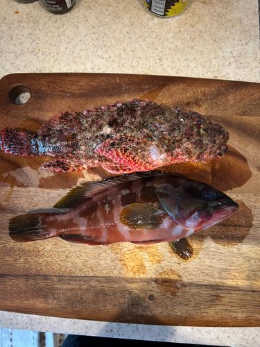 三ツ石（真鶴）