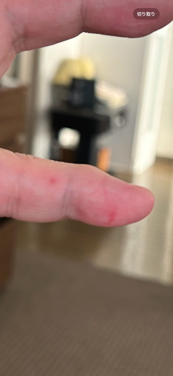 bob9さんの釣果 3枚目の画像