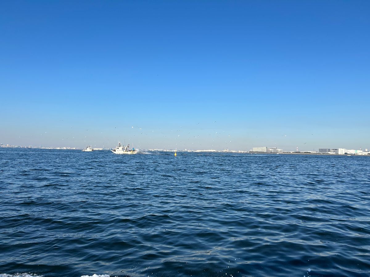 チルグラさんの釣果 3枚目の画像
