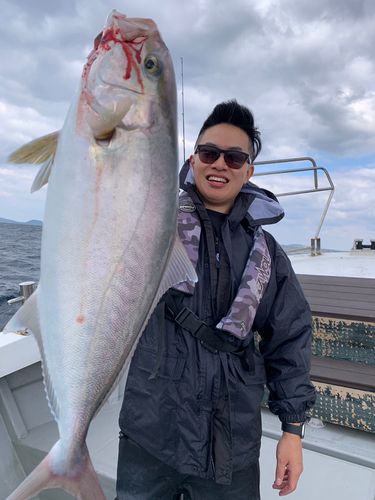 カンパチの釣果