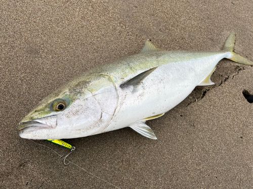 三陸海岸（宮城）