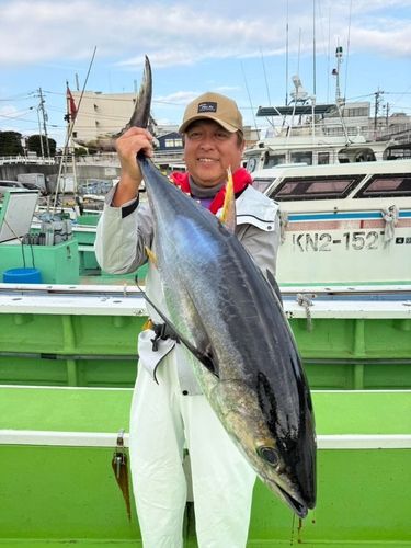 キハダマグロの釣果