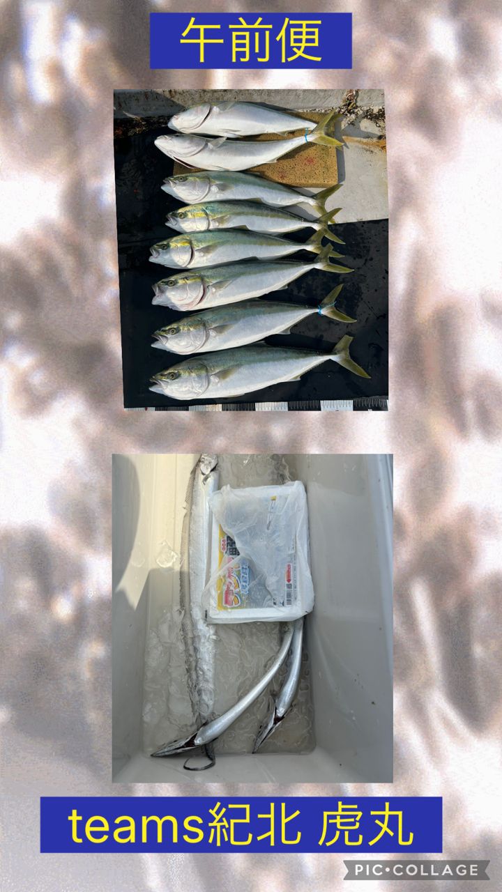 とらまる とらまる (@tora_xborder) / Posts / X