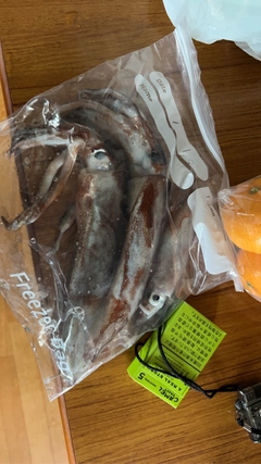 クロソイの釣果