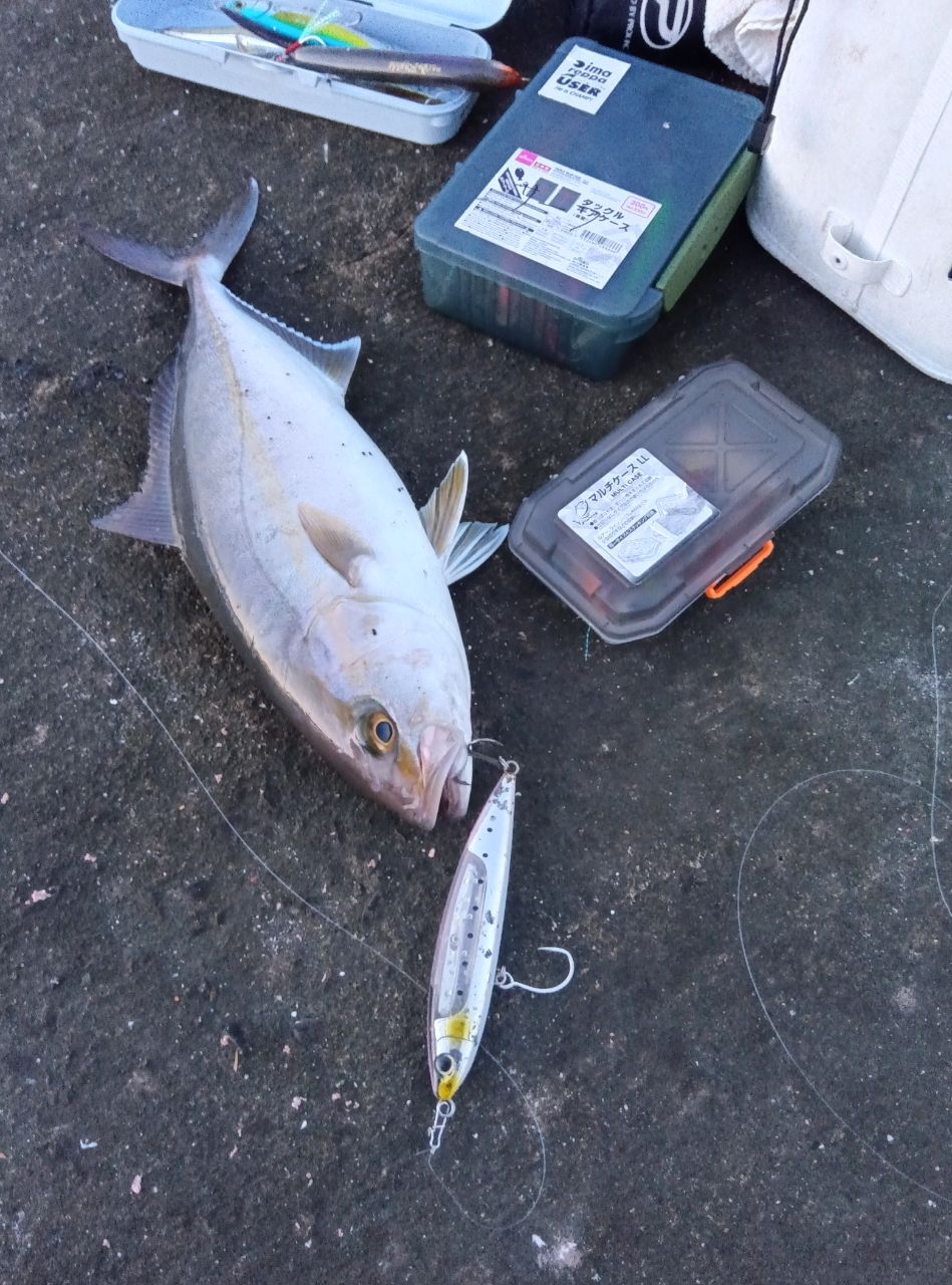 MajorCraft クロスライド 5G XR5-1002HHの最安値・インプレ・釣果