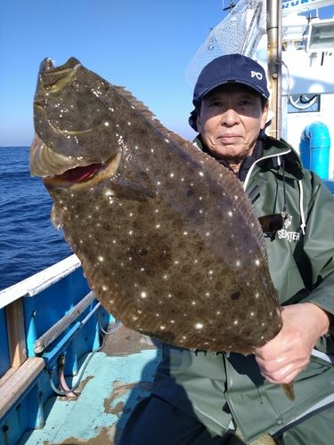 ヒラメの釣果