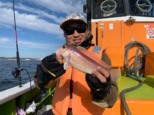 アマダイの釣果
