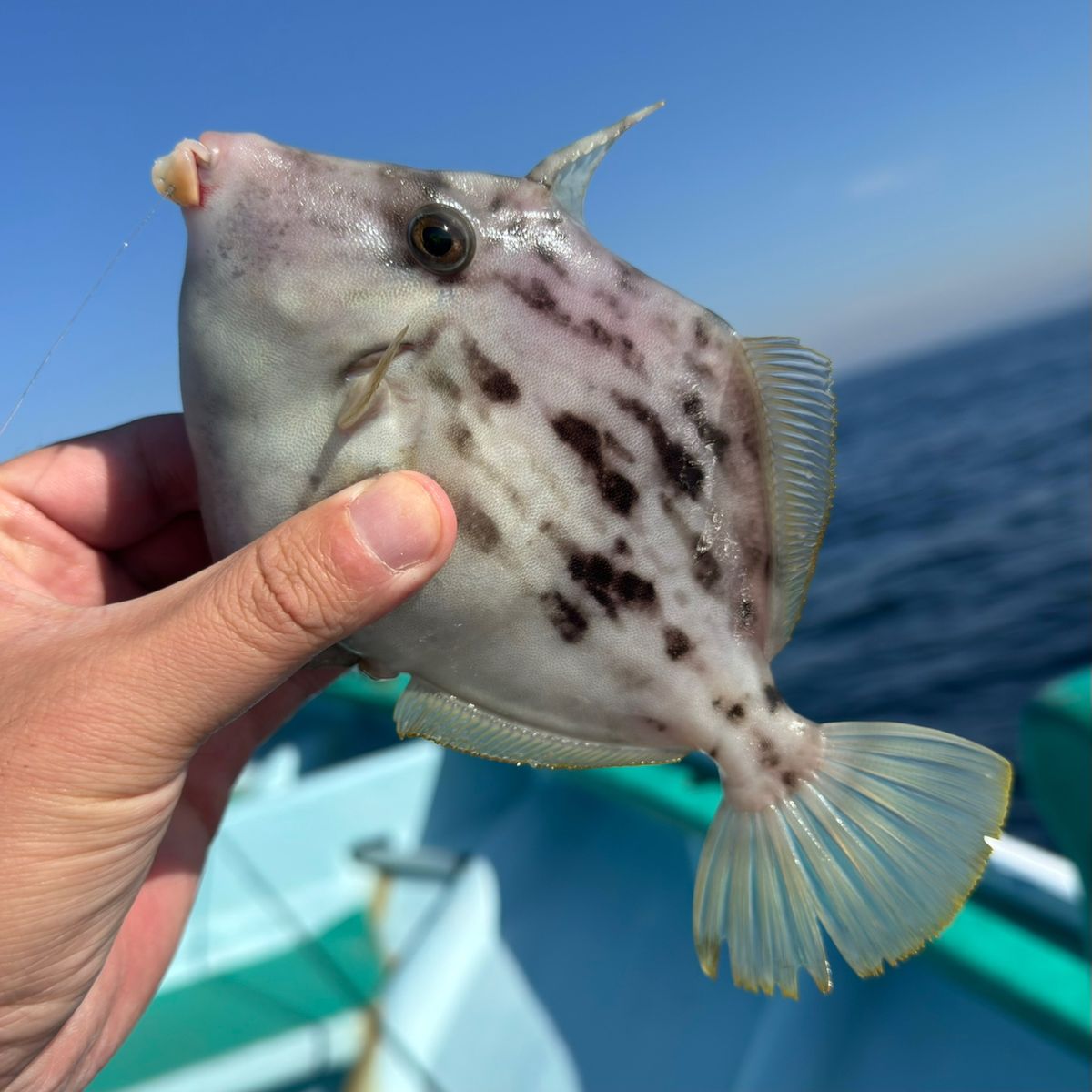 takky23さんの釣果 2枚目の画像