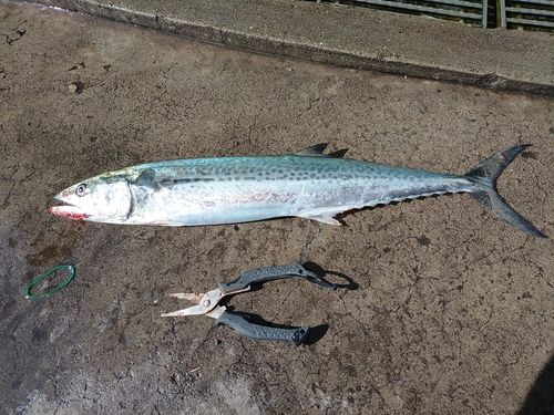 日明海峡釣り公園