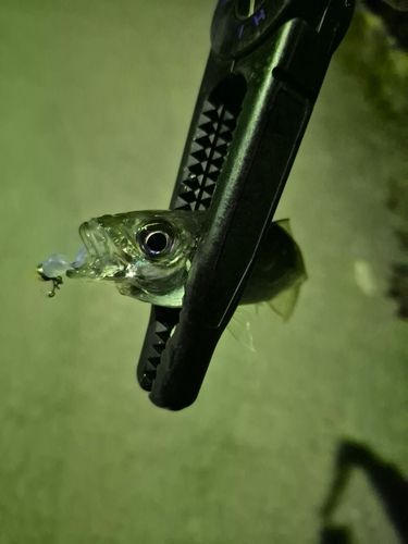 三陸海岸（青森）