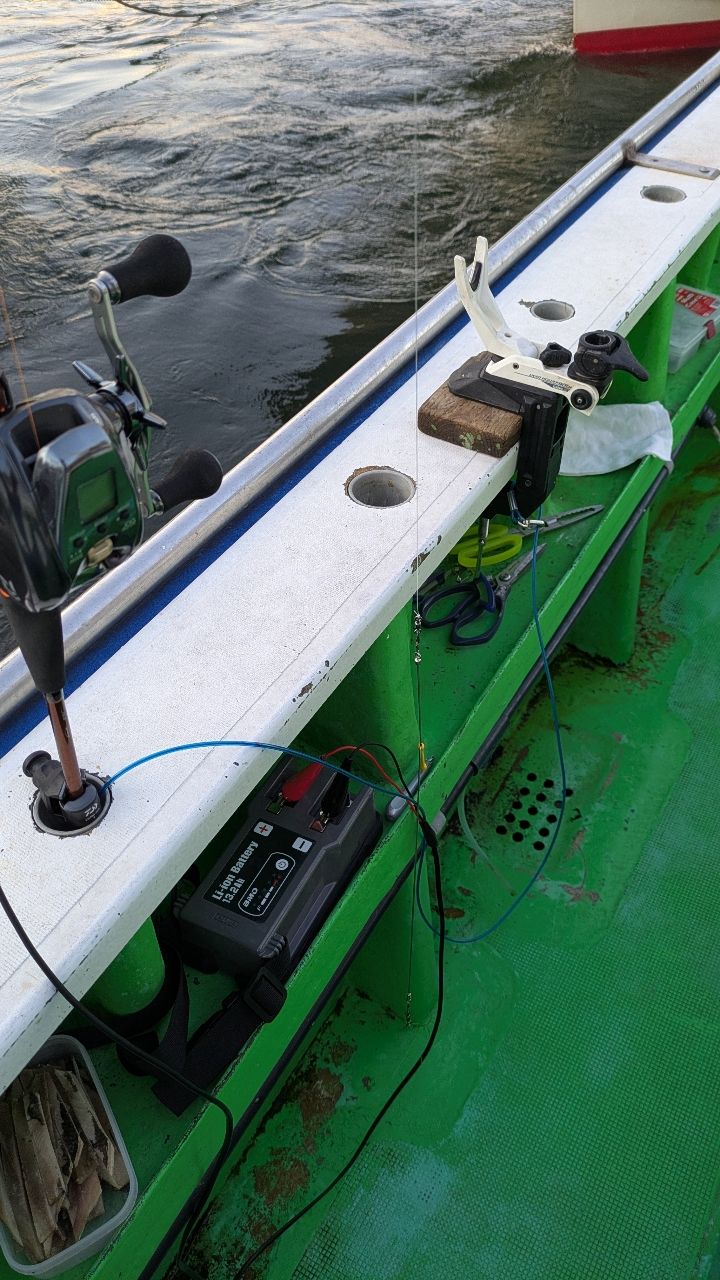 横浜本牧なつめ釣具 米田さんの釣果 1枚目の画像