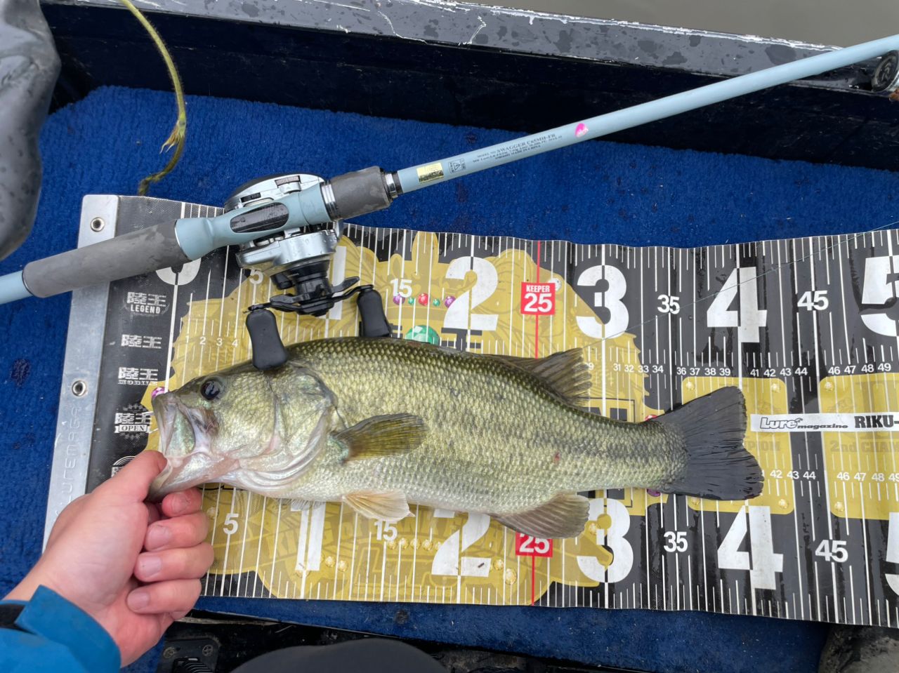 ラージマウスバス