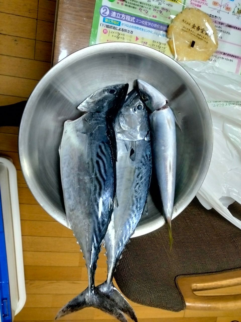 学生青シマノ🧢アングラーカマス大好きさんの釣果 1枚目の画像