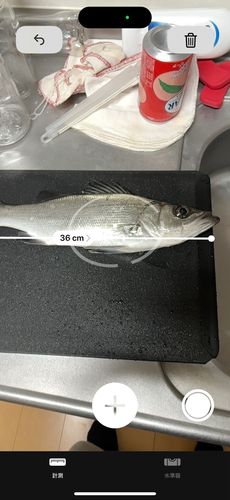 吹上浜（鹿児島）