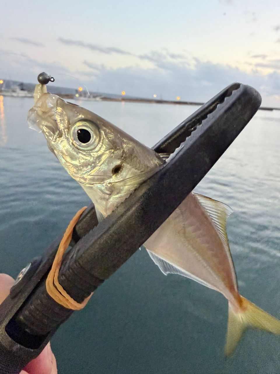 がまかつ　ラグゼ　宵姫　爽　 S63UL-solid がまかつ(Gamakatsu) ラグゼ 宵姫 華弐 S57UL-solid(スピニング・2